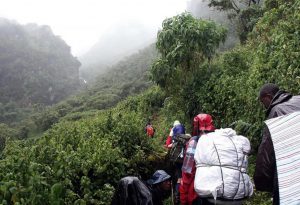 THE MOUNTAIN RWENZORI HIKING - Rojo Events and Tours.